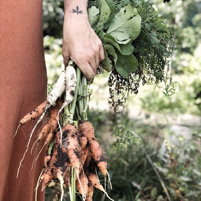 Good Green Food